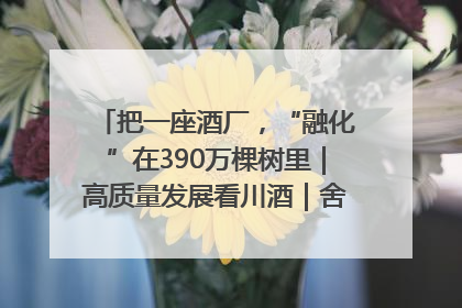 把一座酒厂，“融化”在390万棵树里｜高质量发展看川酒｜舍得酒｜舍得酒业｜舍得老酒｜沱牌酒