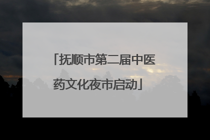 抚顺市第二届中医药文化夜市启动