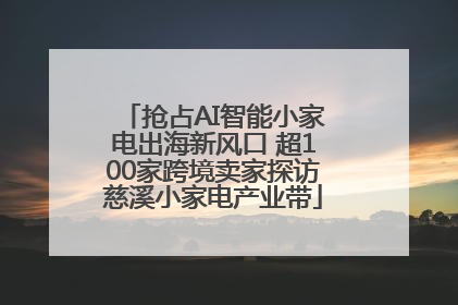 抢占AI智能小家电出海新风口 超100家跨境卖家探访慈溪小家电产业带