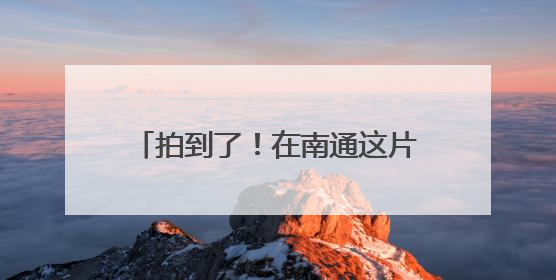 拍到了！在南通这片海域出现伪虎鲸群