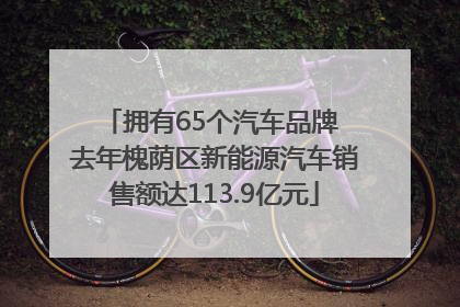 拥有65个汽车品牌 去年槐荫区新能源汽车销售额达113.9亿元
