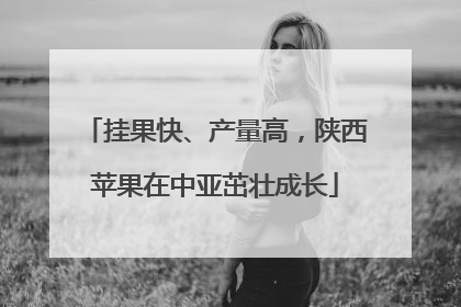 挂果快、产量高，陕西苹果在中亚茁壮成长