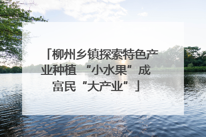柳州乡镇探索特色产业种植 “小水果”成富民“大产业”
