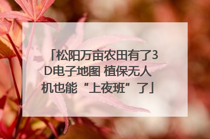 松阳万亩农田有了3D电子地图 植保无人机也能“上夜班”了