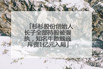 杉杉股份创始人长子全部持股被强执，知名牛散魏巍斥资1亿元入局