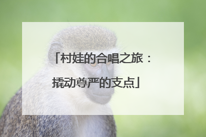 村娃的合唱之旅：撬动尊严的支点