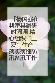 杨国强在利津县调研时强调 精心组织“三夏”生产 落实落细防汛备汛工作