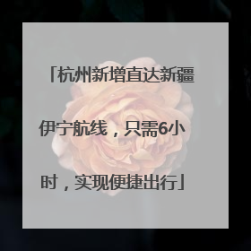 杭州新增直达新疆伊宁航线，只需6小时，实现便捷出行