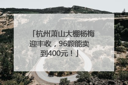 杭州萧山大棚杨梅迎丰收，96颗能卖到400元！