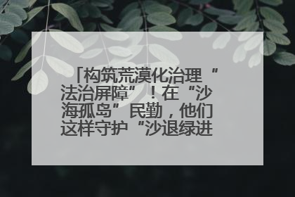 构筑荒漠化治理“法治屏障”！在“沙海孤岛”民勤，他们这样守护“沙退绿进”的生态奇迹