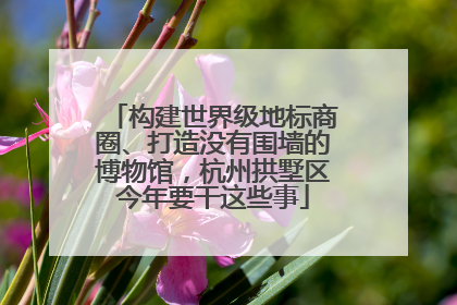 构建世界级地标商圈、打造没有围墙的博物馆，杭州拱墅区今年要干这些事