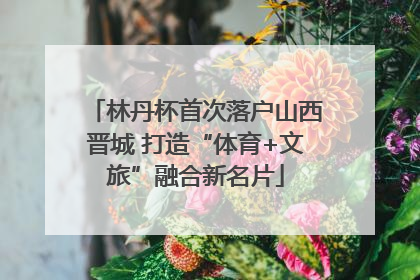 林丹杯首次落户山西晋城 打造“体育+文旅”融合新名片