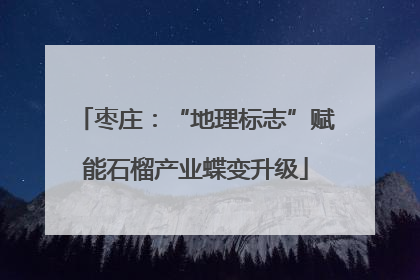 枣庄：“地理标志”赋能石榴产业蝶变升级