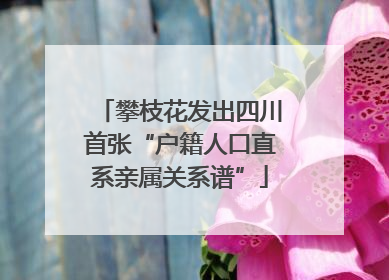 攀枝花发出四川首张“户籍人口直系亲属关系谱”