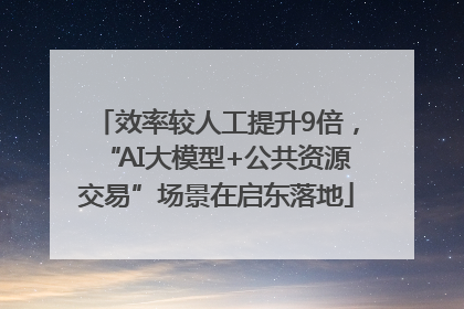 效率较人工提升9倍，“AI大模型+公共资源交易”场景在启东落地