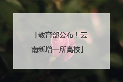 教育部公布！云南新增一所高校