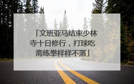 文班亚马结束少林寺十日修行，打球吃斋练拳样样不落