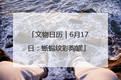 文物日历｜6月17日：蜥蜴纹彩陶罐