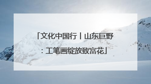 文化中国行丨山东巨野：工笔画绽放致富花