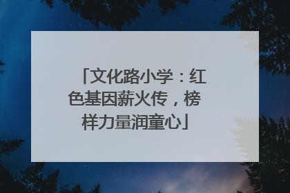 文化路小学：红色基因薪火传，榜样力量润童心