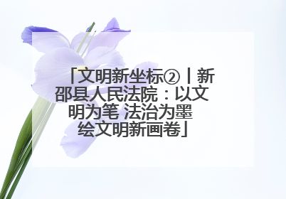 文明新坐标②丨新邵县人民法院：以文明为笔 法治为墨 绘文明新画卷