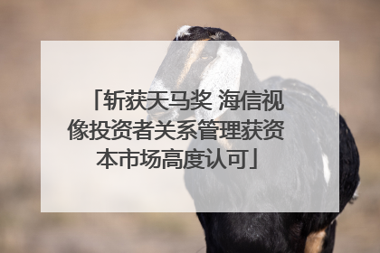 斩获天马奖 海信视像投资者关系管理获资本市场高度认可