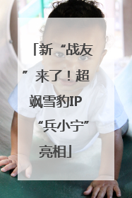 新“战友”来了！超飒雪豹IP“兵小宁”亮相