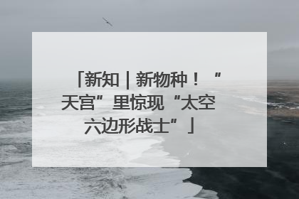 新知｜新物种！“天宫”里惊现“太空六边形战士”