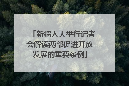 新疆人大举行记者会解读两部促进开放发展的重要条例