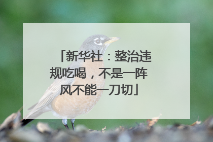 新华社：整治违规吃喝，不是一阵风不能一刀切