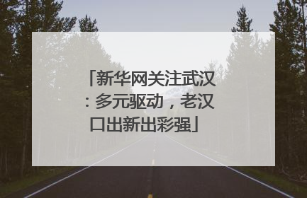 新华网关注武汉：多元驱动，老汉口出新出彩强