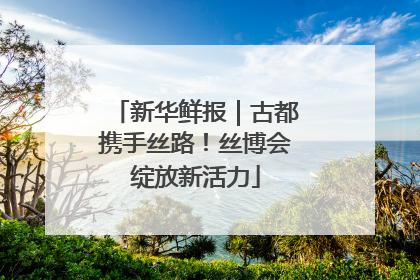新华鲜报｜古都携手丝路！丝博会绽放新活力