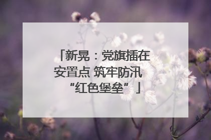 新晃：党旗插在安置点 筑牢防汛“红色堡垒”