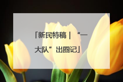 新民特稿｜“一大队”出圈记
