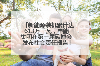新能源装机累计达613万千瓦，申能集团在第三届碳博会发布社会责任报告