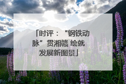 时评：“钢铁动脉”贯湘赣 绘就发展新图景
