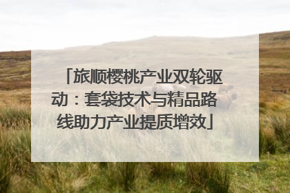 旅顺樱桃产业双轮驱动：套袋技术与精品路线助力产业提质增效