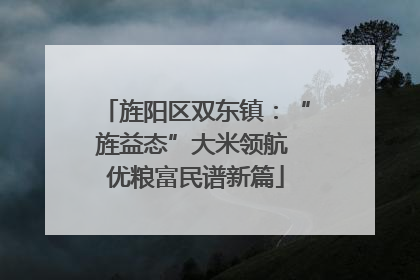 旌阳区双东镇：“旌益态”大米领航 优粮富民谱新篇