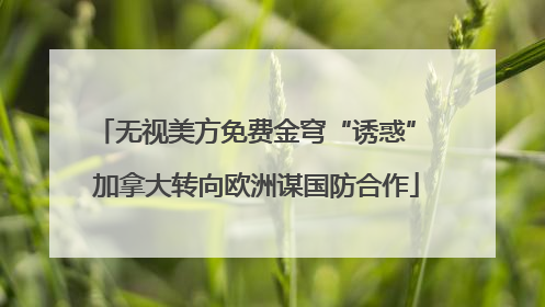 无视美方免费金穹“诱惑” 加拿大转向欧洲谋国防合作