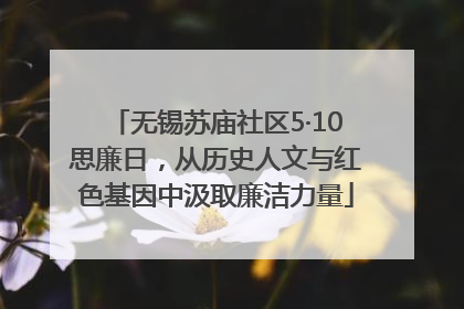 无锡苏庙社区5·10思廉日，从历史人文与红色基因中汲取廉洁力量