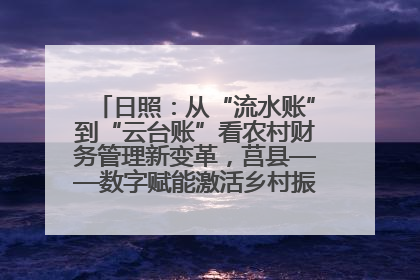 日照：从“流水账”到“云台账”看农村财务管理新变革，莒县——数字赋能激活乡村振兴“一池春水”