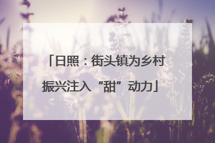日照：街头镇为乡村振兴注入“甜”动力