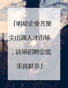 明星企业齐聚尖山湖人才市场，这场招聘会需求真挺多