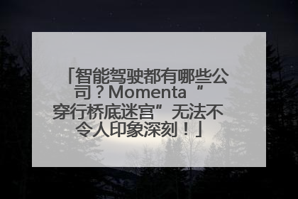 智能驾驶都有哪些公司？Momenta“穿行桥底迷宫”无法不令人印象深刻！