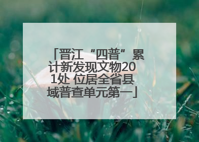 晋江“四普”累计新发现文物201处 位居全省县域普查单元第一