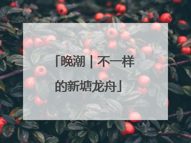 晚潮｜不一样的新塘龙舟