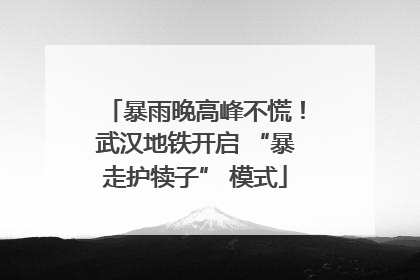 暴雨晚高峰不慌！武汉地铁开启 “暴走护犊子” 模式