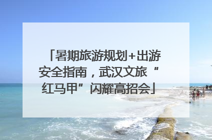 暑期旅游规划+出游安全指南，武汉文旅“红马甲”闪耀高招会
