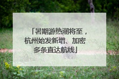 暑期游热潮将至，杭州始发新增、加密多条直达航线
