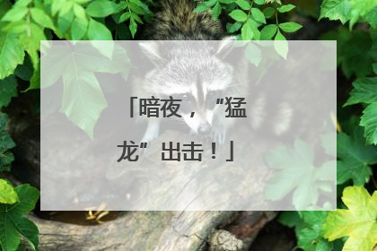暗夜，“猛龙”出击！